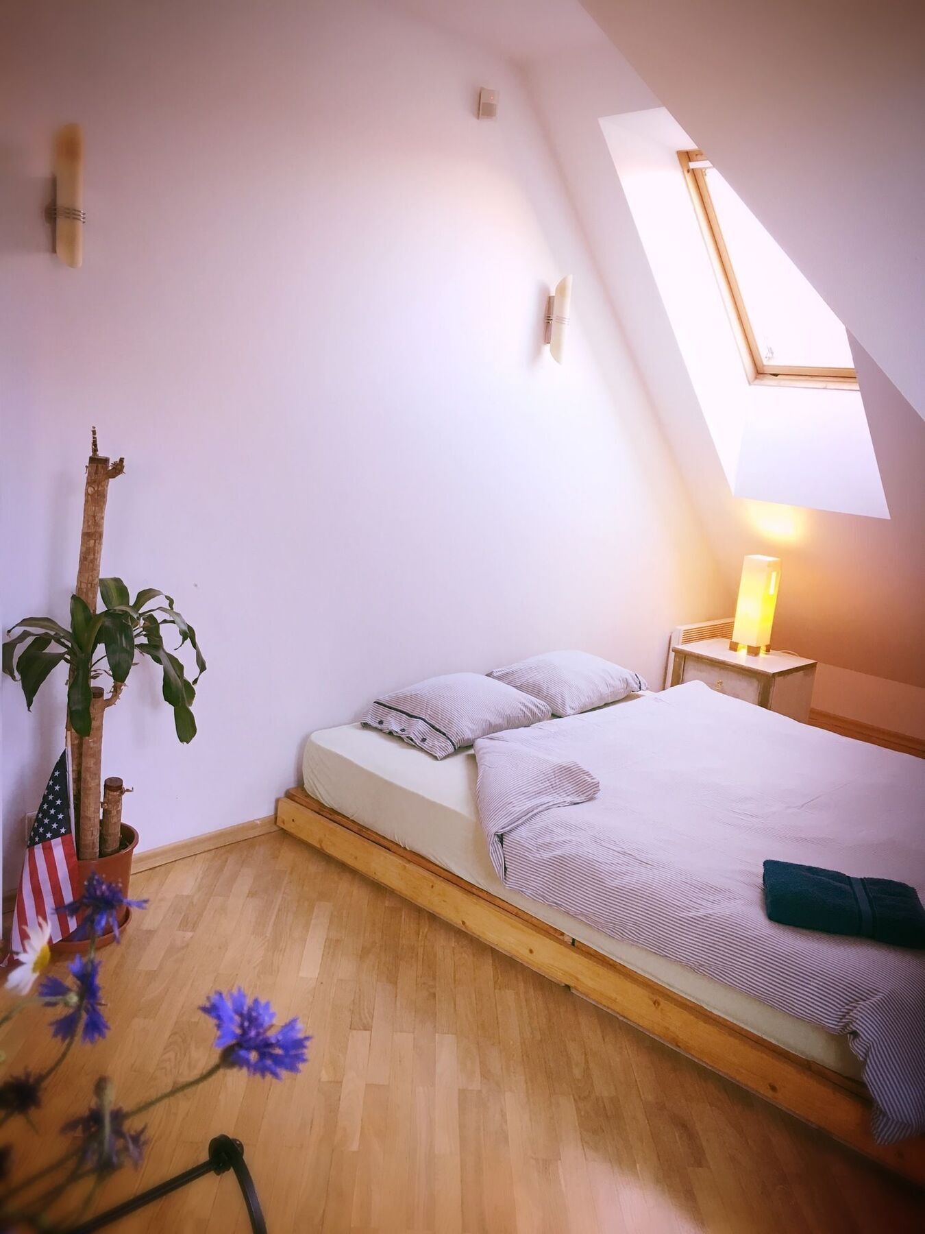 Jimmy Jumps House Hostel VNO Exterior foto